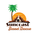 Suncoast Basset Rescue